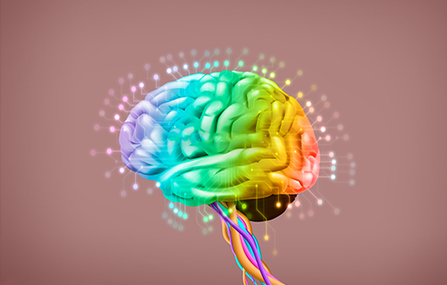 칼슘의 생리조절 역할