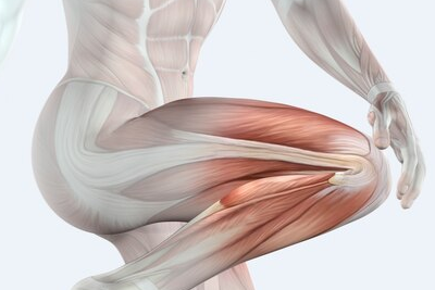 신경과 근육의 기능 유지