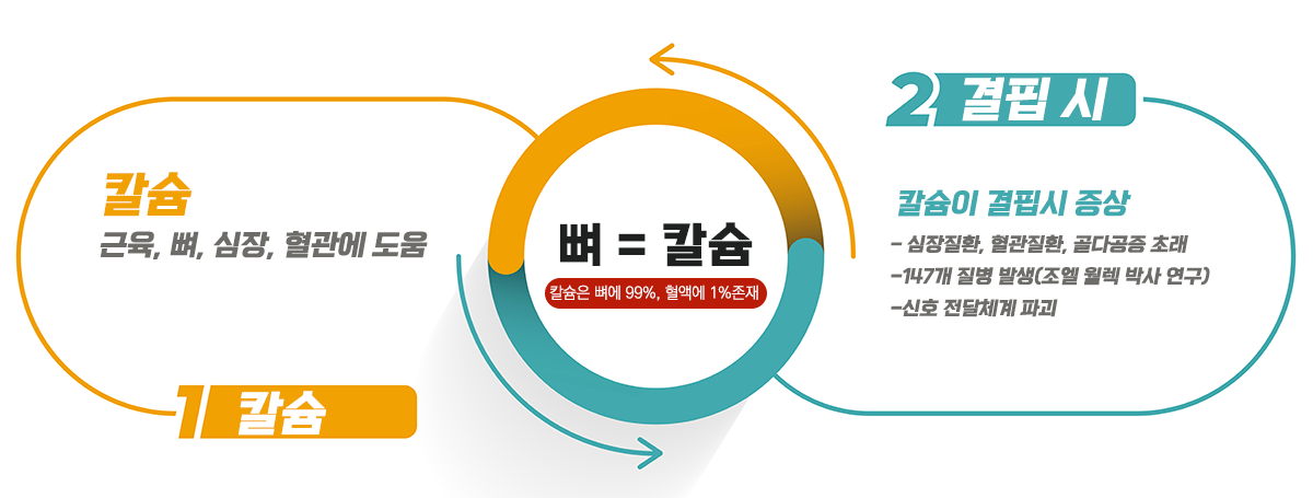이온화 칼슘 시장 진출 전략 개요도